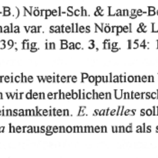 Eunotia Satelles  Orig Descr  Id2,p53 Text