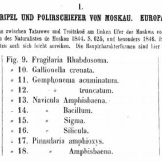 Fsepes  Ehrenb Plate37Text