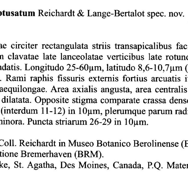 Gomphonema Americobtusatum Origdesc001