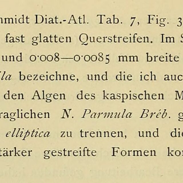 Grunow 1882 Text