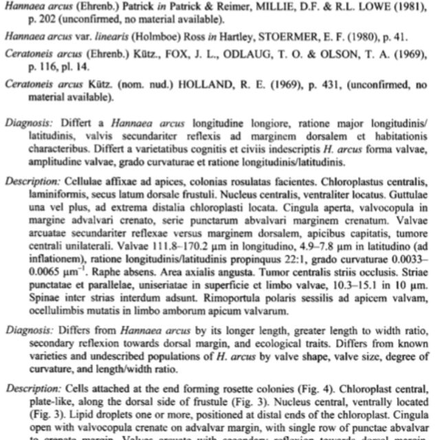 Hasperiorensis  Ortext 1