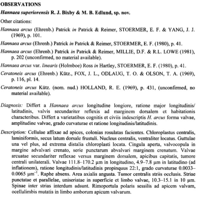 Hasperiorensis  Ortext