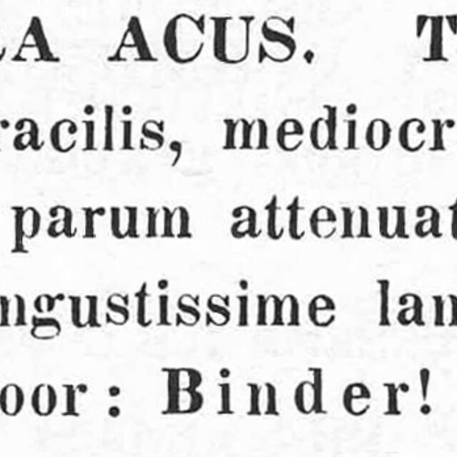 Kutzing 1844  Description