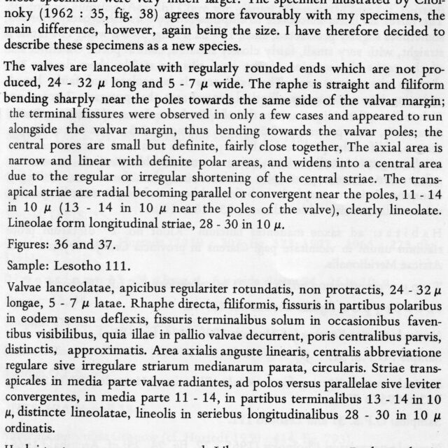 Nalibonens  Or Descr