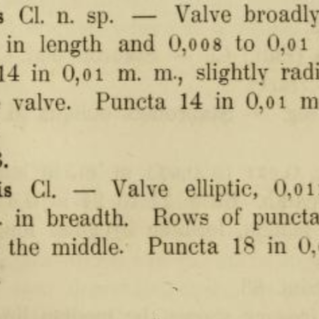 Navicula Torneensis Var Aboensis Orig Desc Screen Shot 2018 01 30 At 3 11 26 Pm