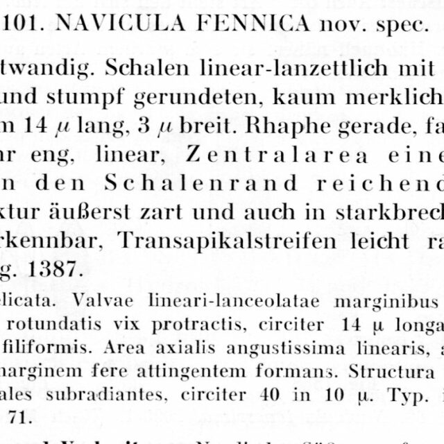 Navicula Fennica Text002