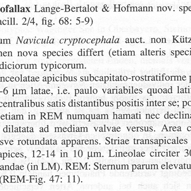 Ncryptofallax Origdesc