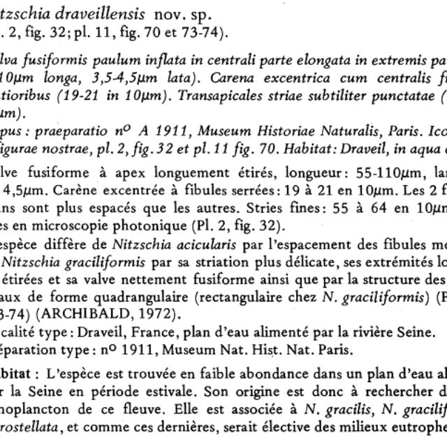 Nitzschia Draviellensis  Costeand Ricard 1980 Description