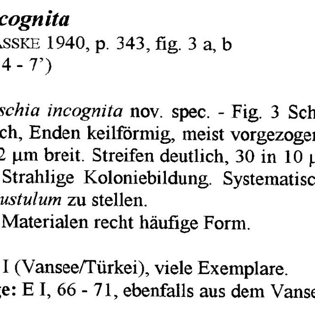 Nitzschia Incognita Origidesc001