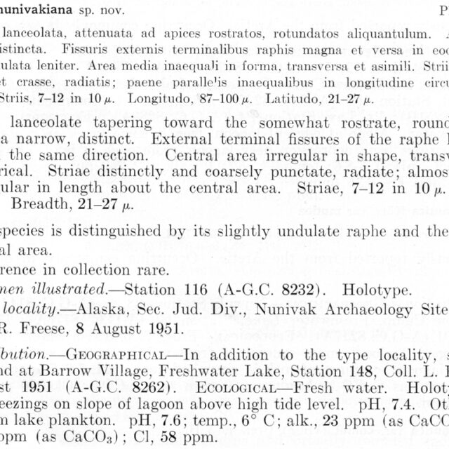 Nnunivakiana  Orig Descr Sm