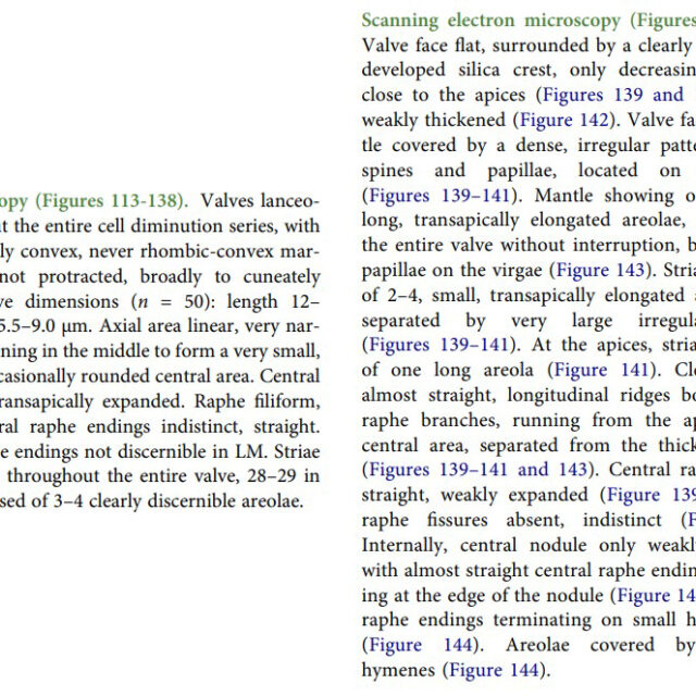 Original description Brachysira