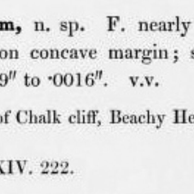 Page76  Smith1853  Cocconema Parvum  Smith1853