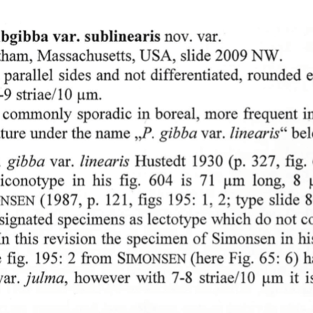 Pinn subgibba var sublinearis org descrp