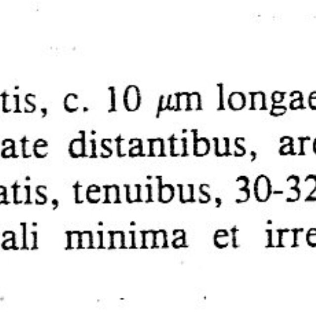 Psammothidium sacculum Orig Descr