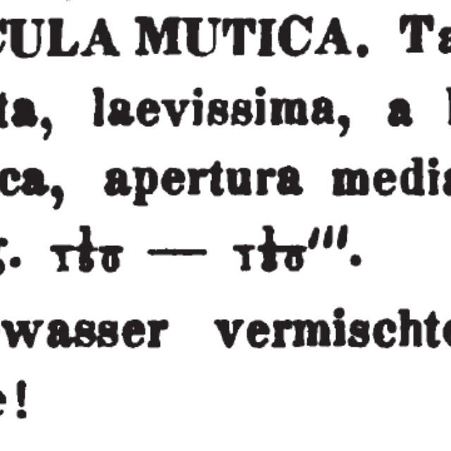 N Mutica 1844