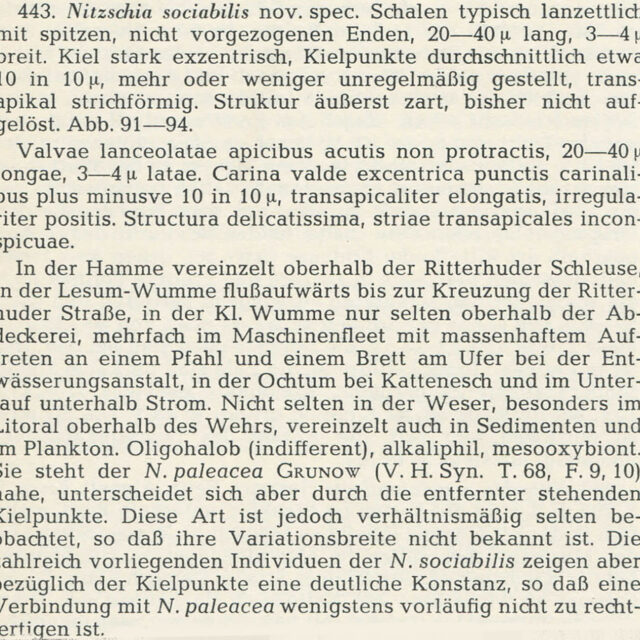 Ni Sociab Describe  Hustedt 1957 1