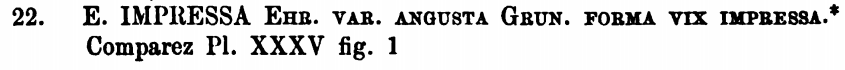 E  Impressa Var Angusta Van Heurck 1881 Description