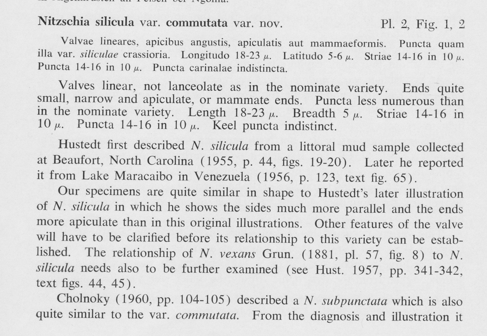 Silicula Commutata 1