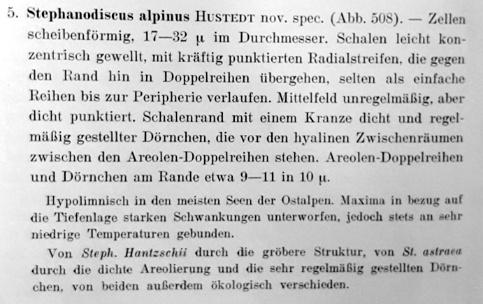 Steph Alpinus Orig Desc Text