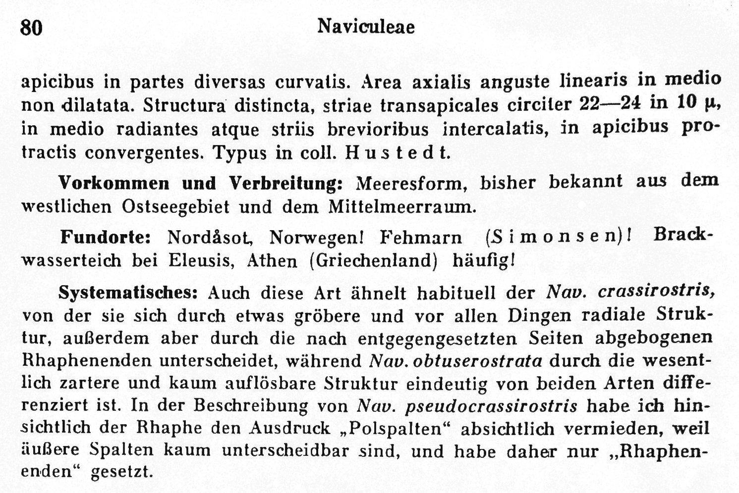 N Pseudocrassirostris  Hustedt1961B