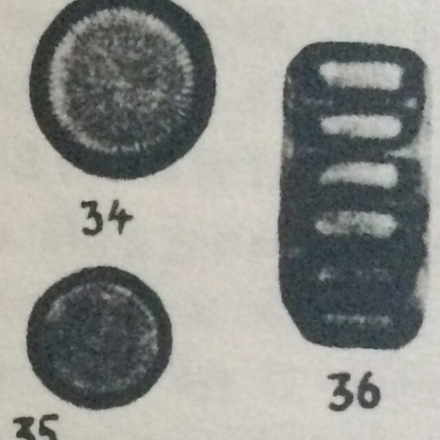 Cyclotella delicatula orig illus 2