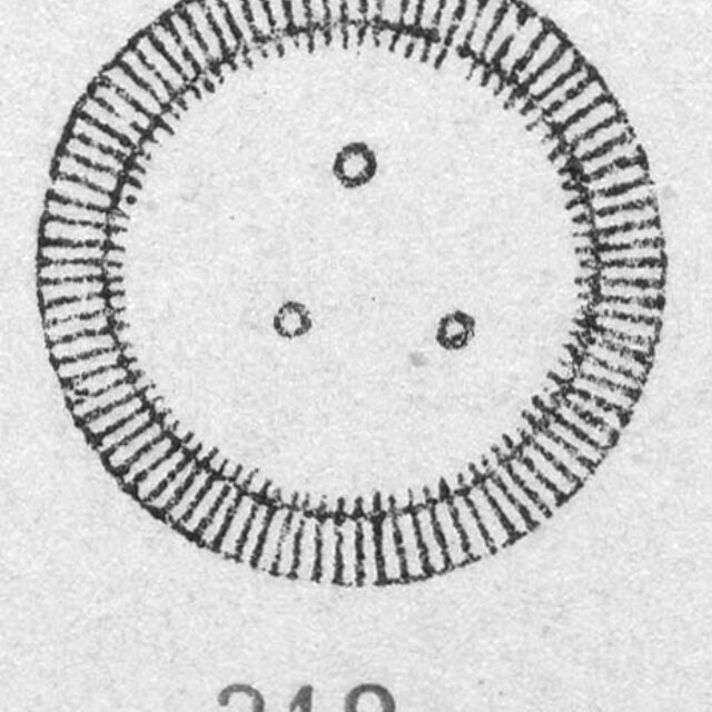  Cyclotella ocellata orig illus