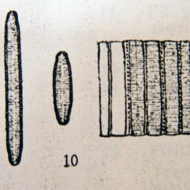 Fragilariforma nitzschioides orig illus