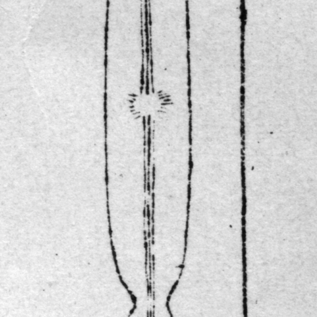 Kobayasiella Subtilissima  Ill 1000X