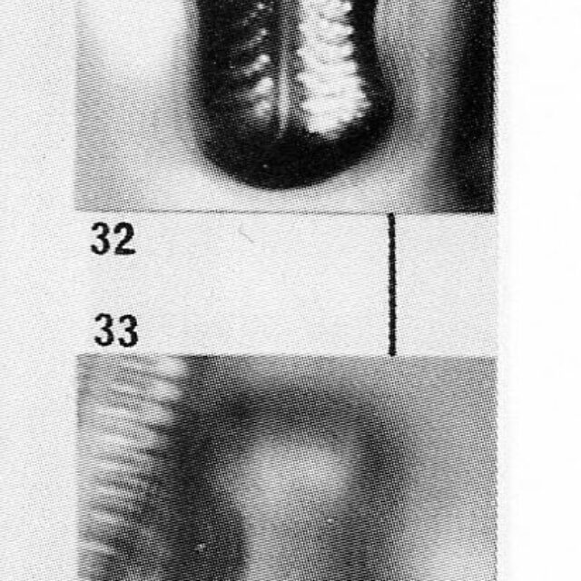 Placoneis Abiskoensis Origimag001