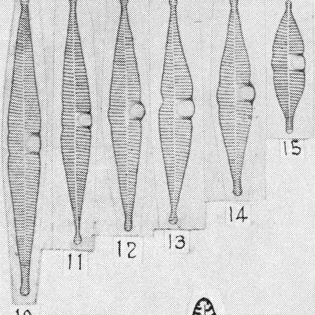 Symazam  Orig Illustr