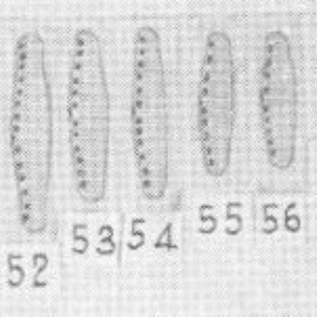 Sovereign 1958  Plate  Iv Innominata