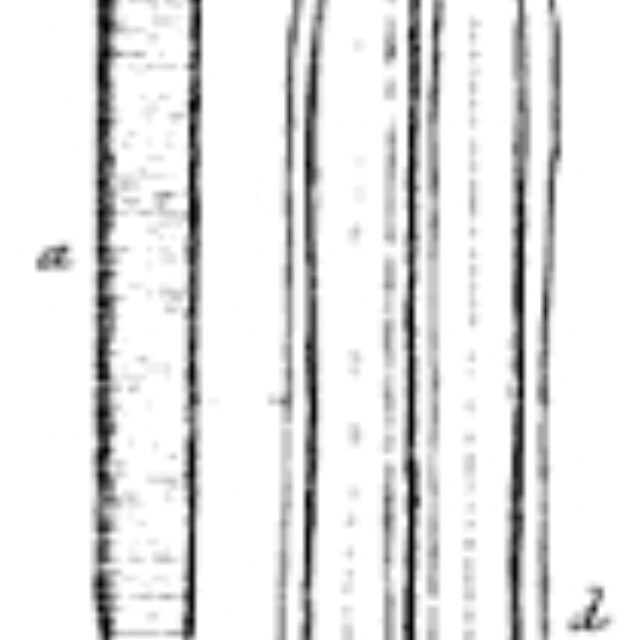 T Angustata Original Plate