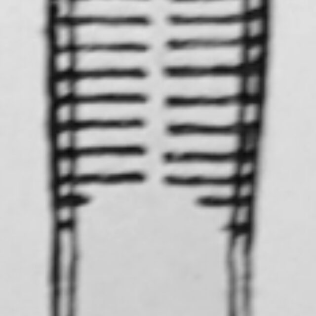 Ulnaria Ramesi Orig Desc Plate