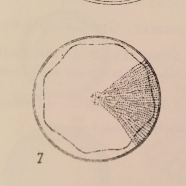 Van Heurck 1880 1881,  Pl  Xc Fig 7